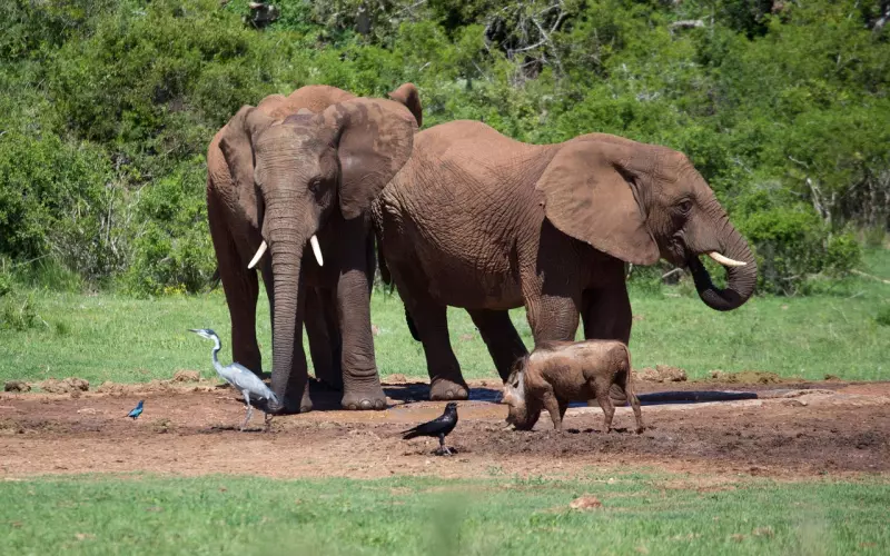 成功挽回男友的五大攻略