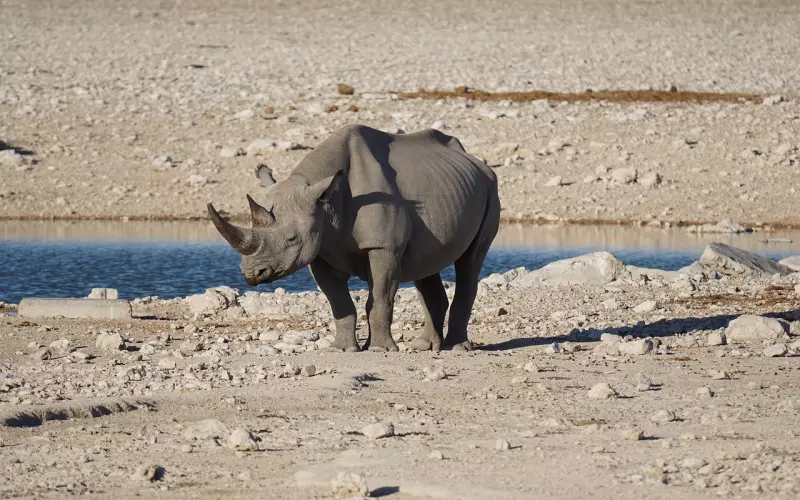 成功挽回男友的五大攻略