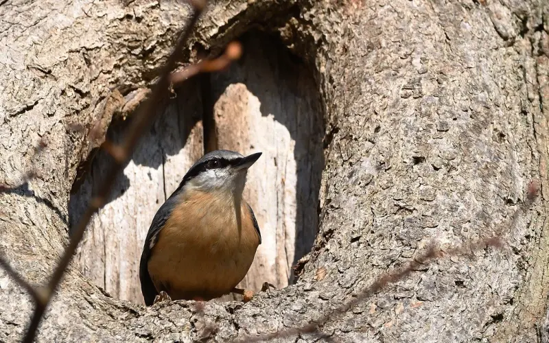五个颠覆三观的男人真相