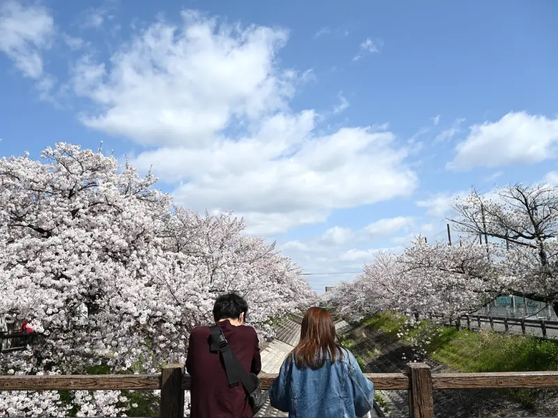 男人喜欢的五种情人类型