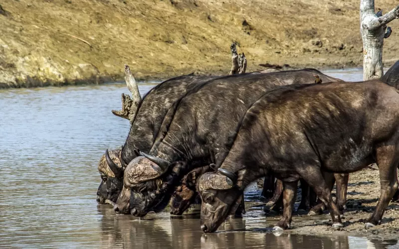 挽回前任的五大方法