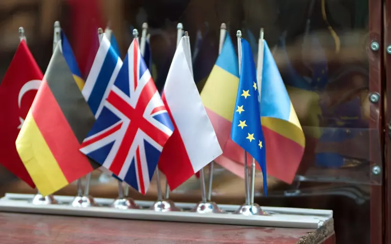 花镇情感：复合后感情再起波澜该如何应对