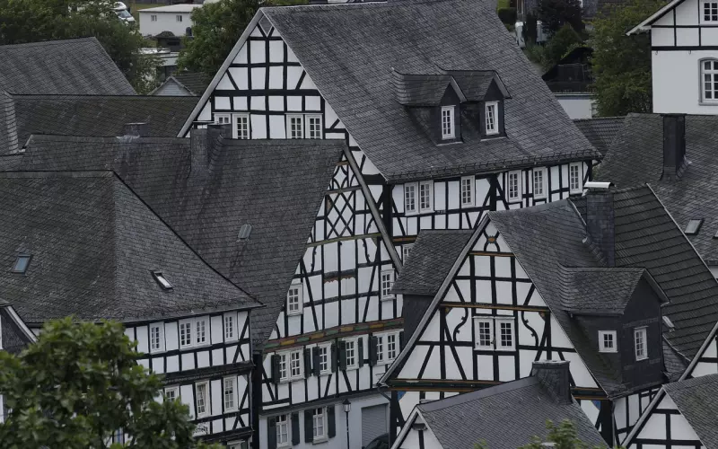 花镇情感：如何改变妈宝男的本性