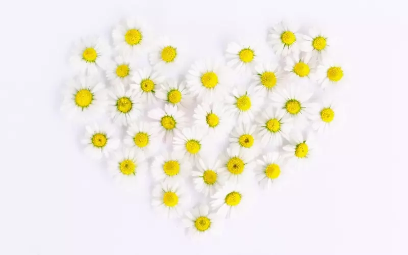 花镇情感教你怎么抓住前男友的心