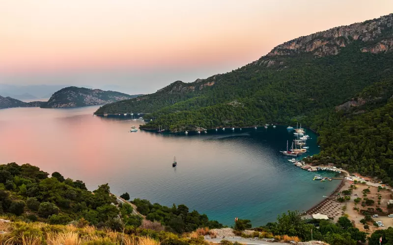 花是浇死的，人是气死的