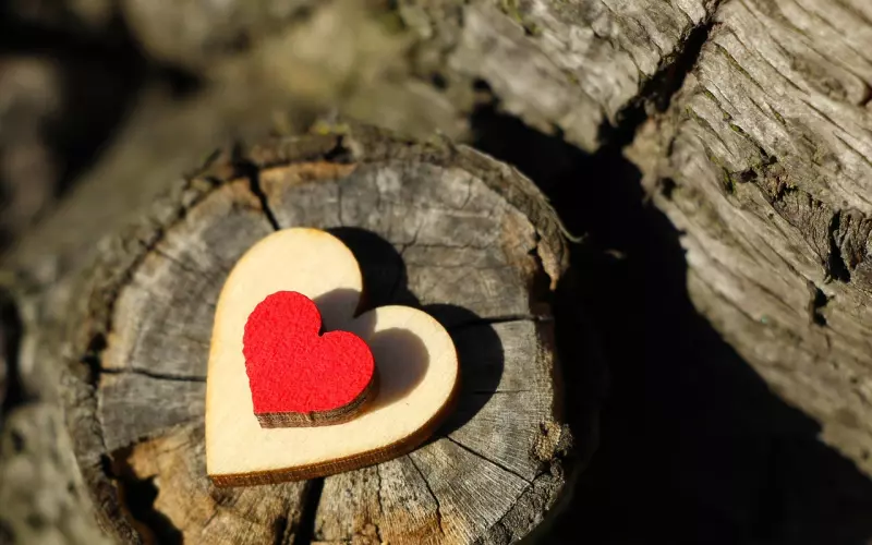 做到以下两招 成功挽回前男友的心