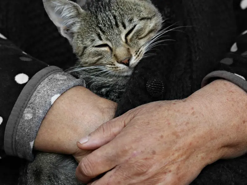 真心想和你过的男人，4个情况不会出现在生活里，爱你就是爱你