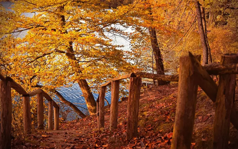 这两种情况导致的假性分手，挽回一定要抓住这样的黄金时间点