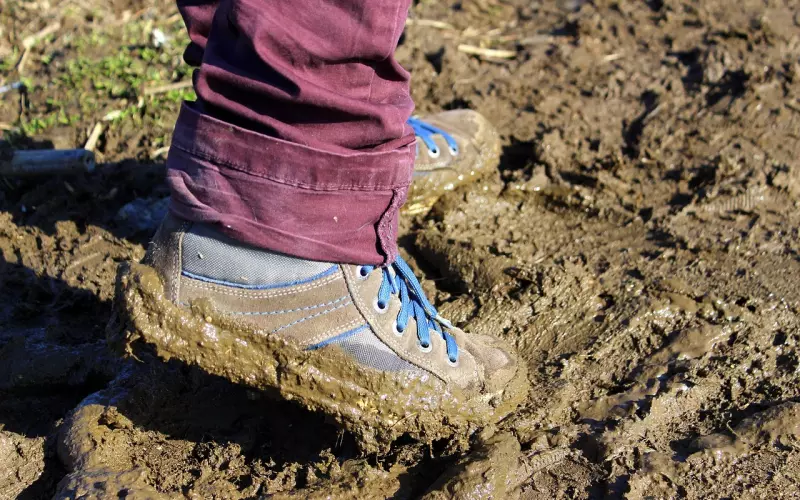 很多事情，你可以跟著感觉走