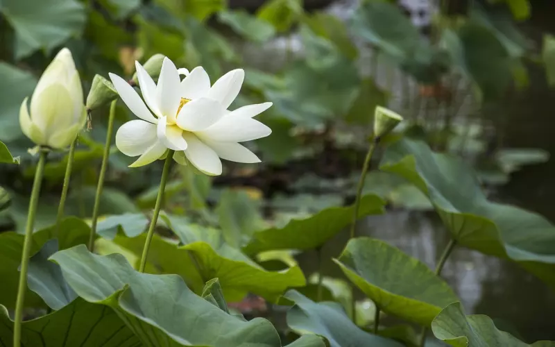 余生，静而不争。