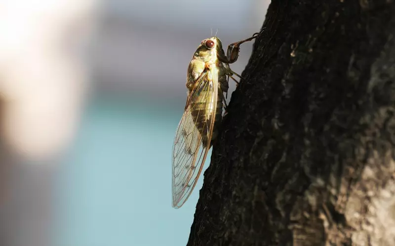 这种女人，挽回前任易如反掌