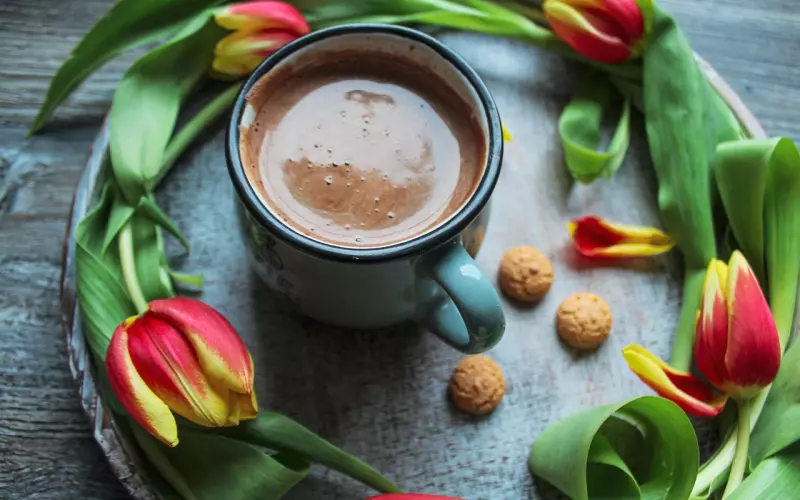 对在乎你的人，有事没事常联系，别把时间都给了那些心里没你的人