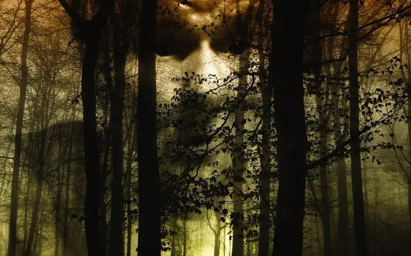 逼男友复合让男友对我产生恐惧，该怎么办？