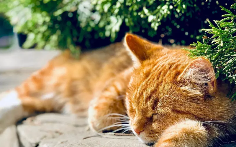 算了没什么早点休息 暗藏情感危机的一句话