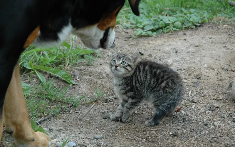幸好没在最年轻时，遇到你
