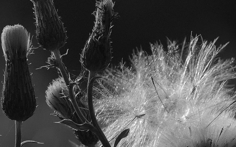 挽回男友需要避免四大误区！