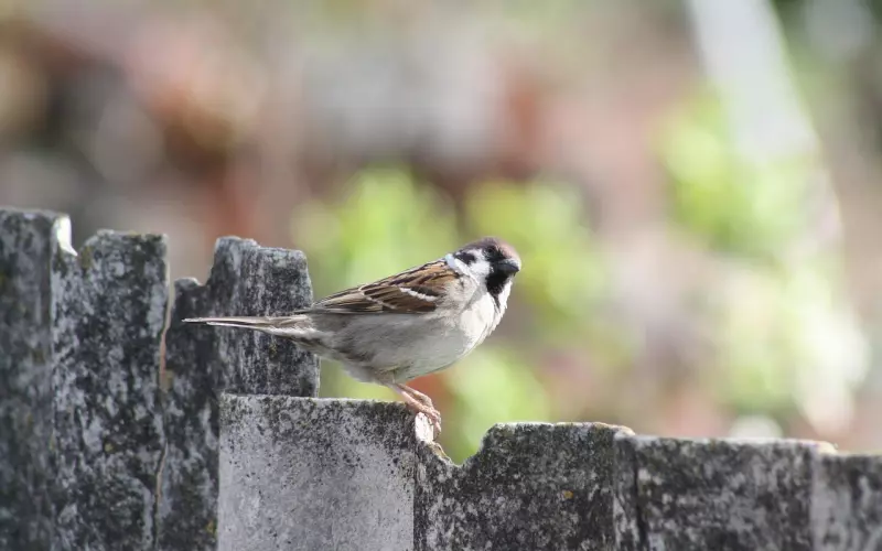 挽回男友一定要避免四大误区！