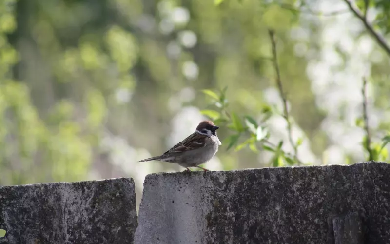 挽回男友需要避免四大误区！