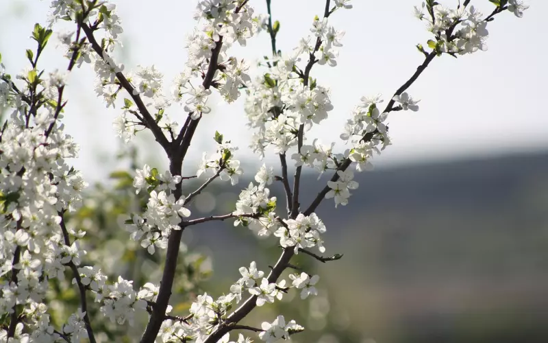 挽回男友一定要避免四大误区！
