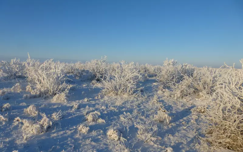 让爱情保持温度的四大秘诀！