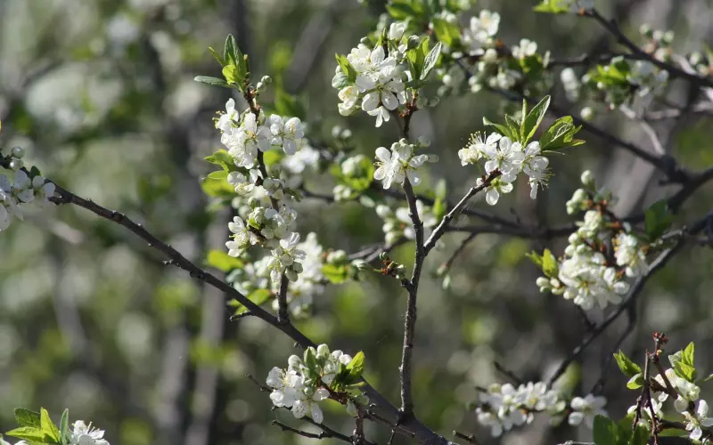 挽回恋人心的四大秘诀