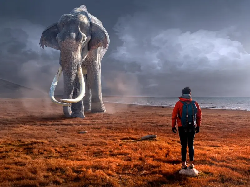 好男人疼老婆的四个表现, 遇到就偷着乐吧！