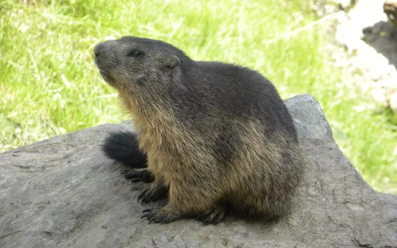 挽回爱情四部曲，让你一步一步攻破他的心