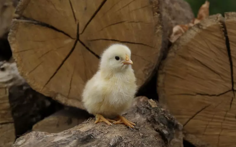 分手后挽回男友的四大步骤