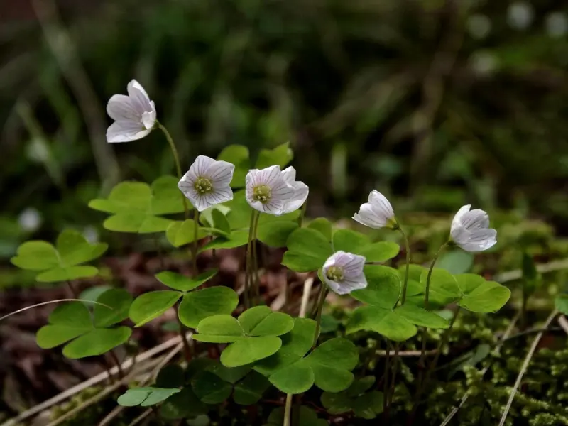 四招教你离婚后如何挽回感情