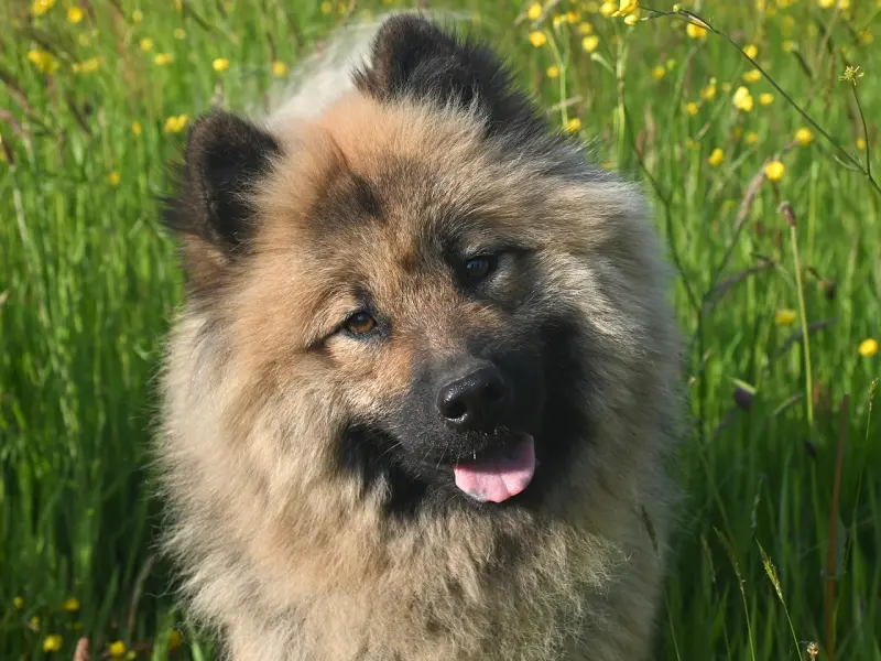 四种分手类型，这样应对更容易挽回前任！