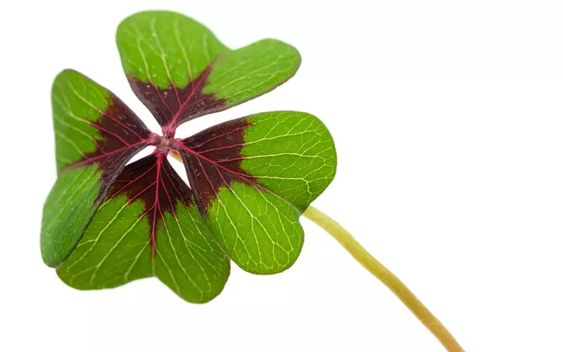 离婚后挽回老公的四种方法，让你重拾幸福