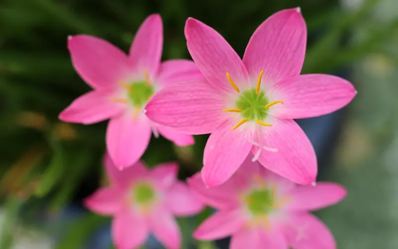 分手后挽回男友的四个方法