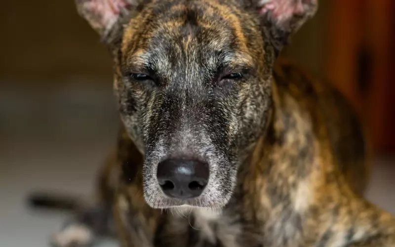 免费情感咨询师教你：面对物质女友该怎么办