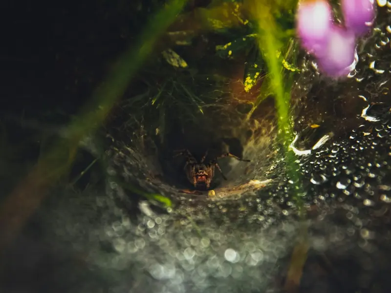 冷冻就是分手之后和对方断绝联系？