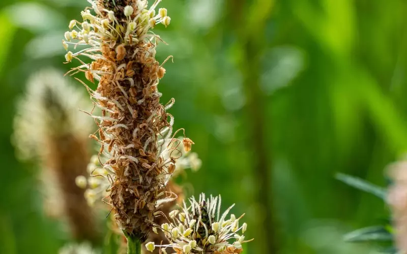频繁吵架导致两人渐行渐远，爱情还有可能挽回吗？