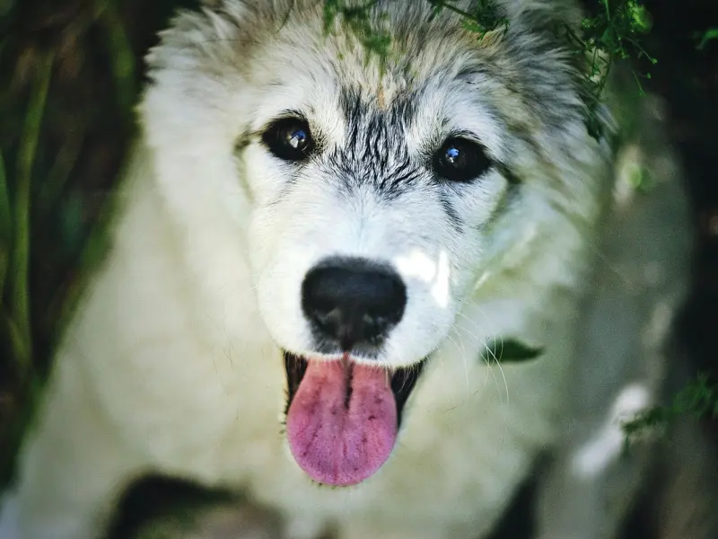 从拉黑删除到甜蜜复合，我只用了这三步