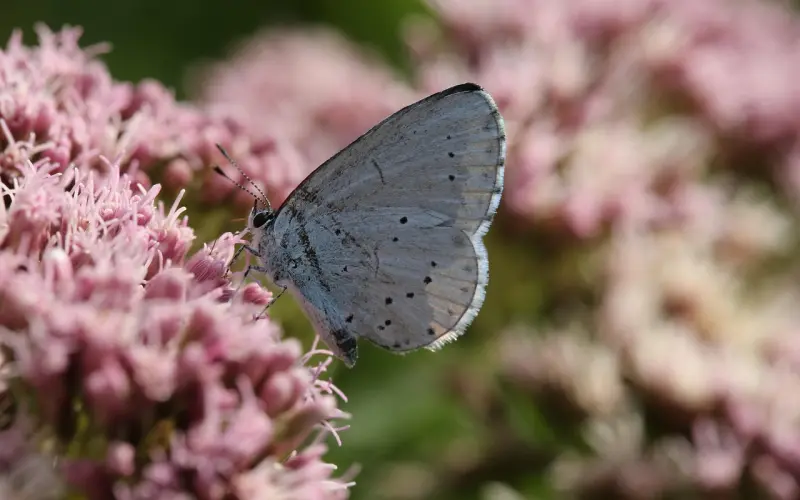 从今以后，一切看淡