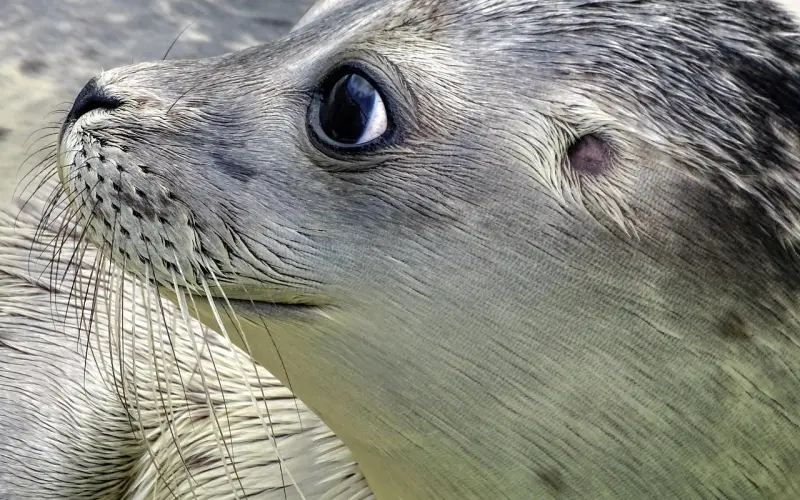 从今以后，不在乎！