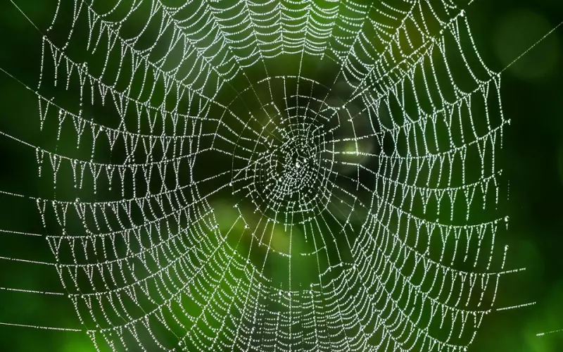 从网恋到婚姻—网络奔现靠不靠谱？