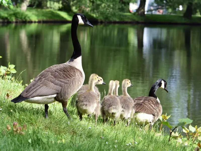 从这几方面可以看出他是把你当女朋友还是备胎