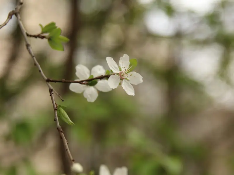 今天起，我只在乎对我好的人！