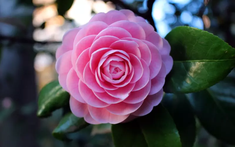 从前任新欢身上可以看到TA对你的所有不满