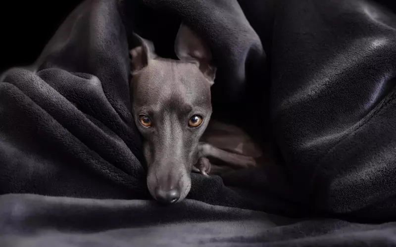 ​从张伦硕钟丽缇，谈谈我们要如何正确吵架？