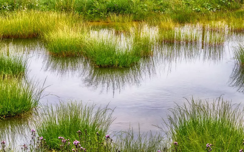 傅园慧 ：有人骂我就放心，我的人生不受任何人影响