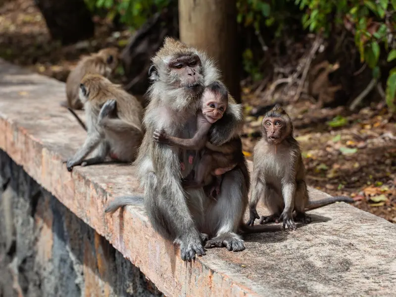 去他马的爱情！追女生如何避免进入“友谊区”？