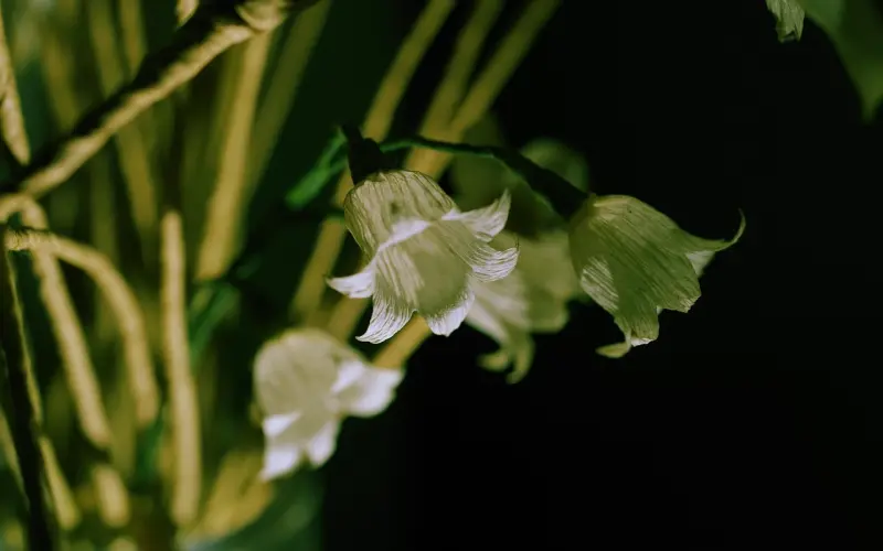 玩家情侣：跟百合姐一起看游戏里的人生