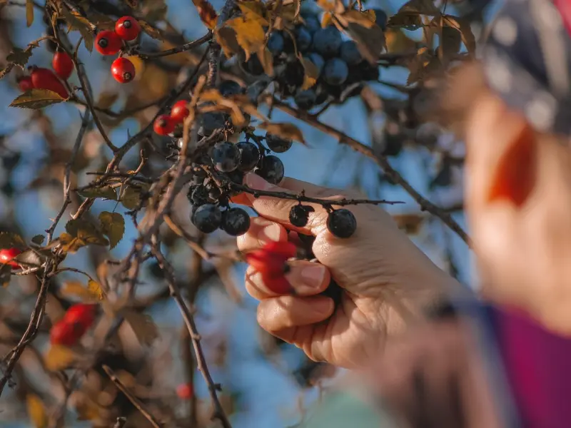 两性关系：任君采摘的6个体现 说明女人已经爱上你