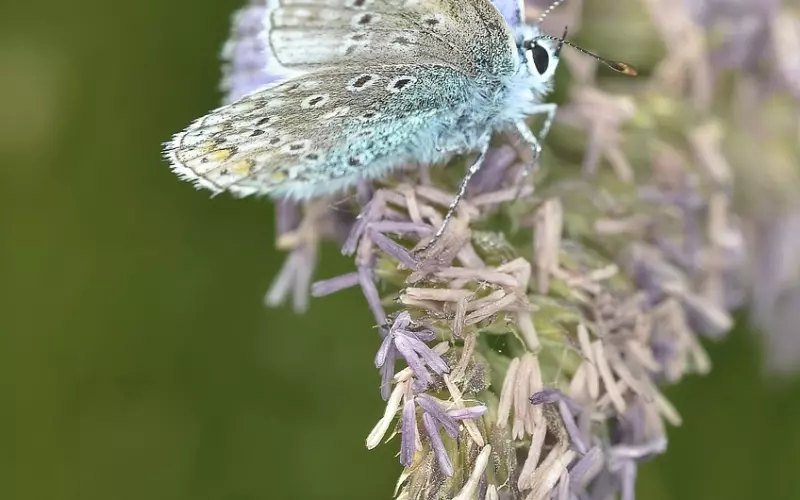 挽回男友的错误行为