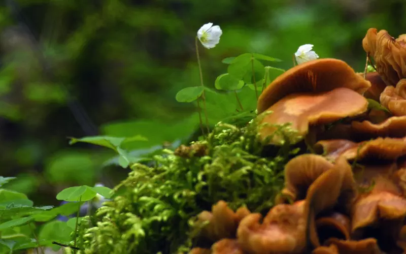 挽回旧情人：要学会抛下这 4 样东西，你们的感情才能死灰复燃！