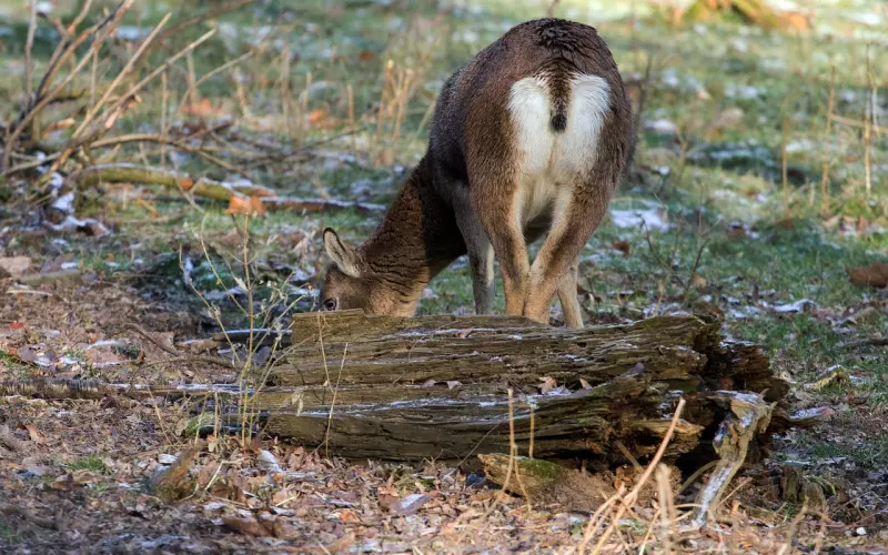 因为一块钱闹离婚：钱，才能维持婚姻的体面？